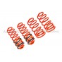Seat Leon 1M Cupra R / 1.8T 20V -45mm Eibach Sportline Lowering Springs