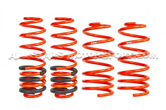 Seat Leon 1M Cupra R / 1.8T 20V -45mm Eibach Sportline Lowering Spr...