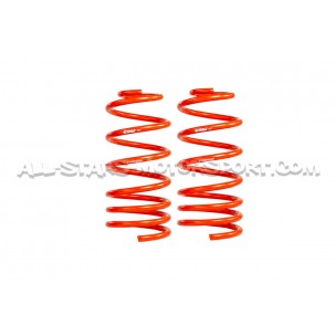 Ressorts Courts MTS Technik Pour Seat Ibiza Cupra 6L1 – 45/45mm – 1.8T – Neufs