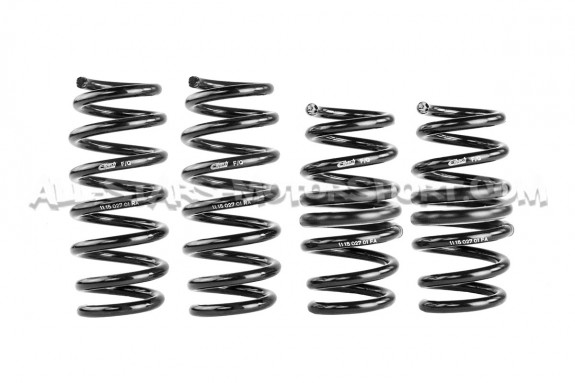 Audi R8 4S -20mm Eibach Pro-Kit Lowering Springs
