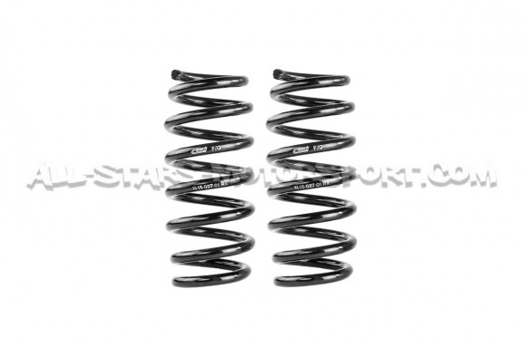 Ressorts courts Eibach Pro-Kit -20mm pour Audi R8 4S 15+