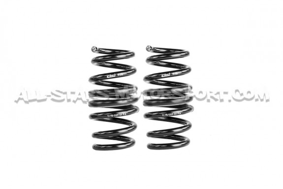 Audi R8 4S -20mm Eibach Pro-Kit Lowering Springs