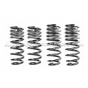 Ressorts courts Eibach Pro-Kit -25mm pour BMW M5 F10