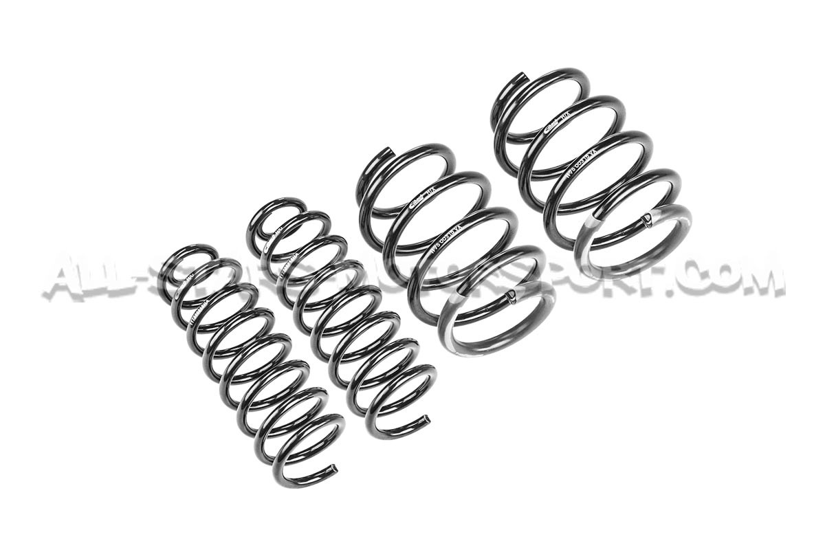 Ressorts courts Eibach Pro-Kit -25mm pour Renault Megane 2 RS