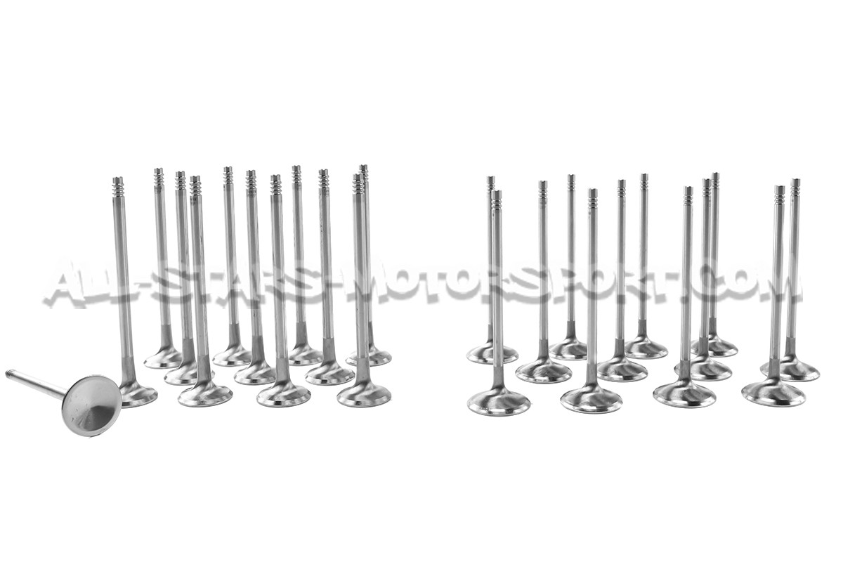 Ferrea Competition Plus Engine Valves x24 for BMW 135i E8x / 1M / 335i E9x N54