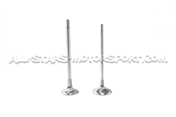 Ferrea Competition Plus Engine Valves x24 for BMW 135i E8x / 1M / 335i E9x N54