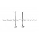 Ferrea Competition Plus Engine Valves x24 for BMW 135i E8x / 1M / 335i E9x N54