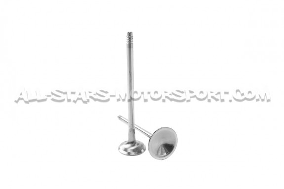 Ferrea Competition Plus Engine Valves x24 for BMW 135i E8x / 1M / 335i E9x N54