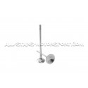 Ferrea Competition Plus Engine Valves x24 for BMW 135i E8x / 1M / 335i E9x N54