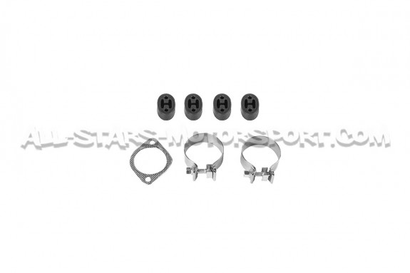 Escape Scorpion Predator para Ford Fiesta ST MK7