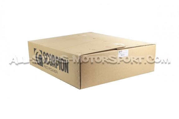 Catback Scorpion Predator pour Ford Fiesta ST MK7