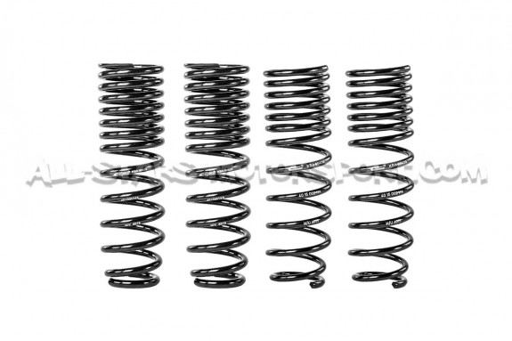 Ressorts courts Eibach Pro-Kit -25mm pour Honda Integra Type R DC2