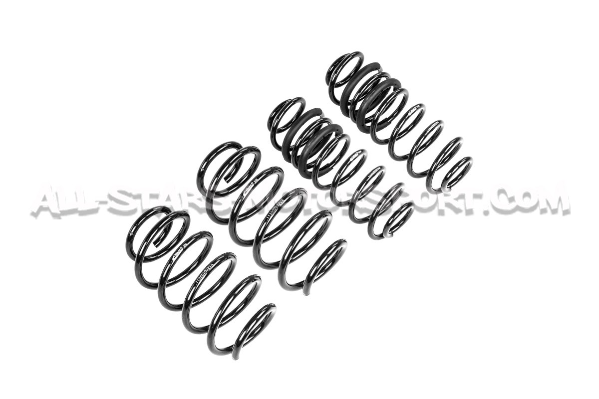 Ford Fiesta ST Mk7 -20mm Eibach Pro-Kit Lowering Springs