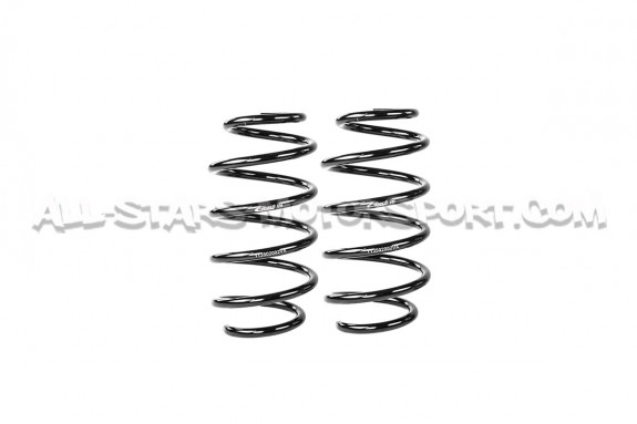 Ford Fiesta ST Mk7 -20mm Eibach Pro-Kit Lowering Springs