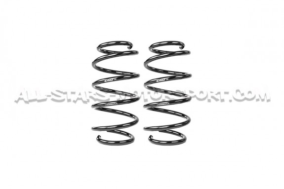 Polo 9N GTI -20mm Eibach Pro-Kit Lowering Springs