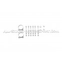 Cata sport Scorpion pour Golf 5 R32