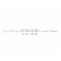 Latiguillos de freno metalicos Goodridge para Audi S3 8V