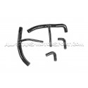 Audi RS3 8Y / Cupra Formentor VZ5 Eventuri Carbon Fiber Intake