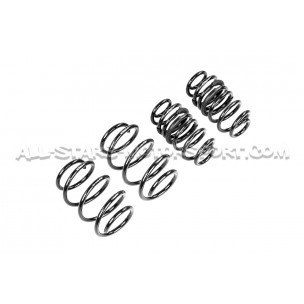 BMW 135i F40 30mm Eibach Pro-Kit Lowering Springs