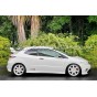 Civic Type R FN2 -15mm Eibach Pro-Kit Lowering Springs