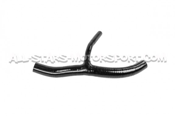 Adaptateur DWNA pour admission carbone Eventuri de RSQ3 F3