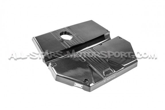 Admission carbone Eventuri pour BMW X3M / BMW X4M F9x