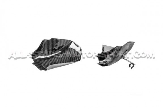 Admision de carbono Eventuri para BMW X3M / BMW X4M F9x