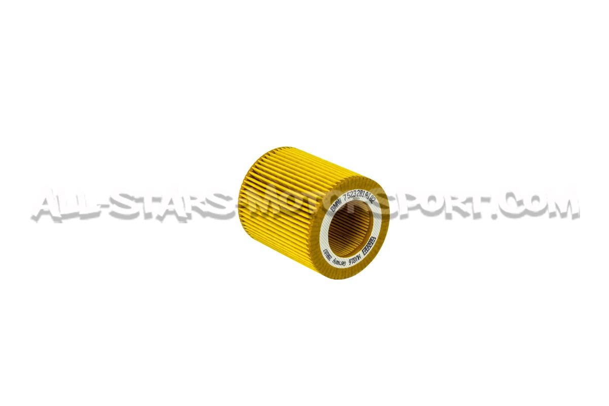 BMW M135i / M235i / 335i / 435i / M2 / M3 / M4 N54 and N55 Oil Filter