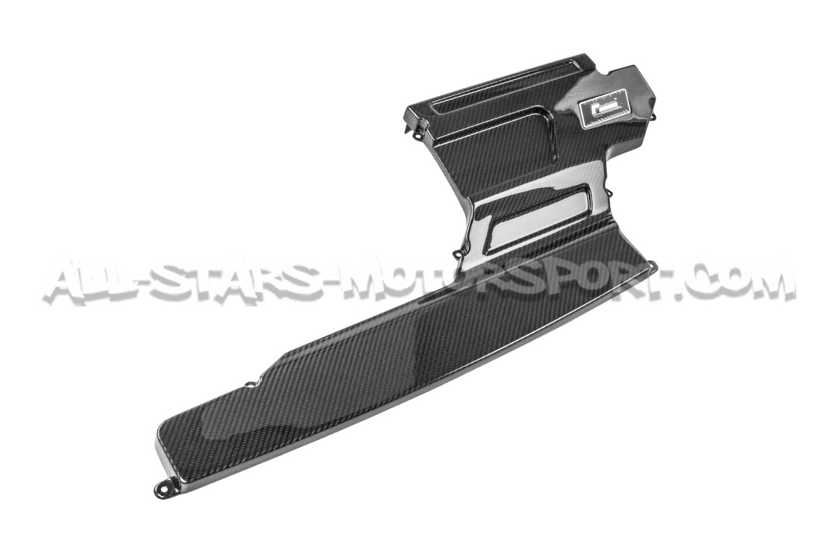 Racingline R600 Intake Carbon Lid Upgrade