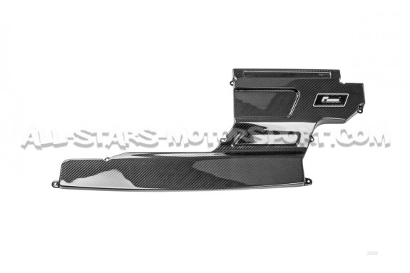 Tapa de carbono para admision Racingline R600