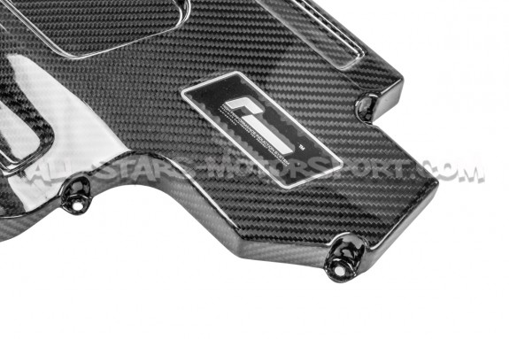Tapa de carbono para admision Racingline R600