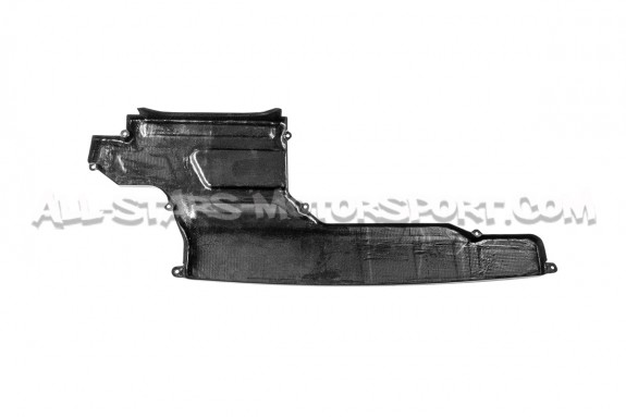 Tapa de carbono para admision Racingline R600