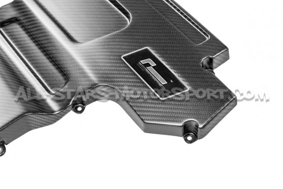 Racingline R600 Intake Carbon Lid Upgrade