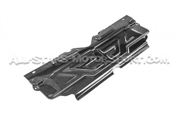 Placa de radiador de carbono Armaspeed para BMW M3 G80 / M4 G8x