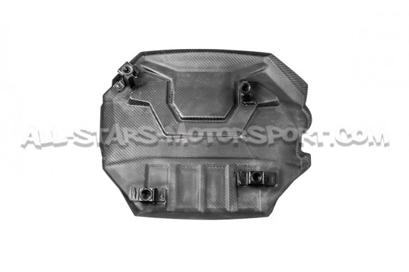 Golf 8 GTI / Golf 8 R / Octavia NX VRS Armaspeed Carbon Fiber Engin...