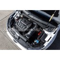 Admision de carbono Racingline para Polo AW GTI