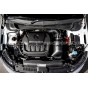 Polo AW GTI Racingline Carbon Fiber Air Intake