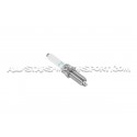 Bougies NGK SILFER8C7ES pour Audi RS3 8.5V / 8Y et TTRS 8S