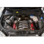 Admision de carbono Gruppe M para Audi RS4 B7