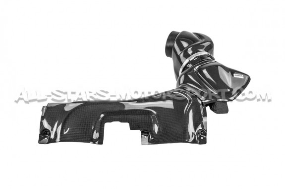 Admision de carbono Gruppe M para Audi RS3 8V.5