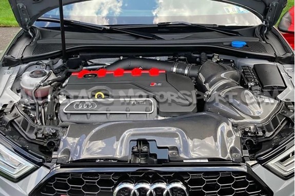 Admision de carbono Gruppe M para Audi RS3 8V.5