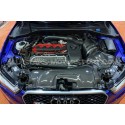 Admision de carbono Gruppe M para Audi RS3 8V.5