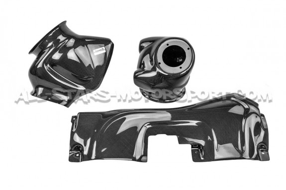 Audi RS3 8V.5 Gruppe M Carbon Fiber Intake System