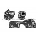 Audi RS3 8V.5 Gruppe M Carbon Fiber Intake System
