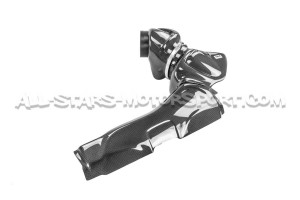 Admision de carbono Gruppe M para Audi TTRS 8S