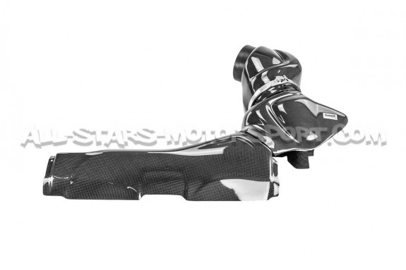 Audi TTRS 8S Gruppe M Carbon Fiber Intake System