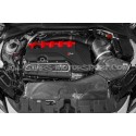 Admision de carbono Gruppe M para Audi TTRS 8S