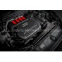Admision de carbono Eventuri para Audi S3 8Y