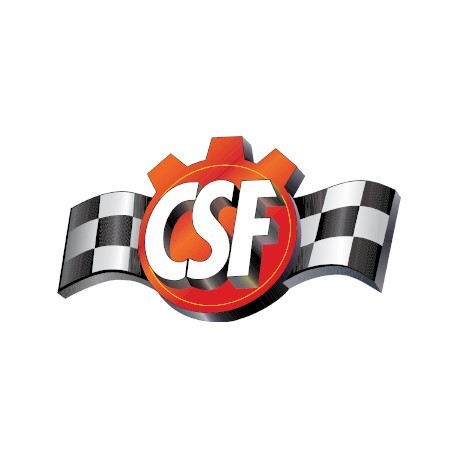 CSF